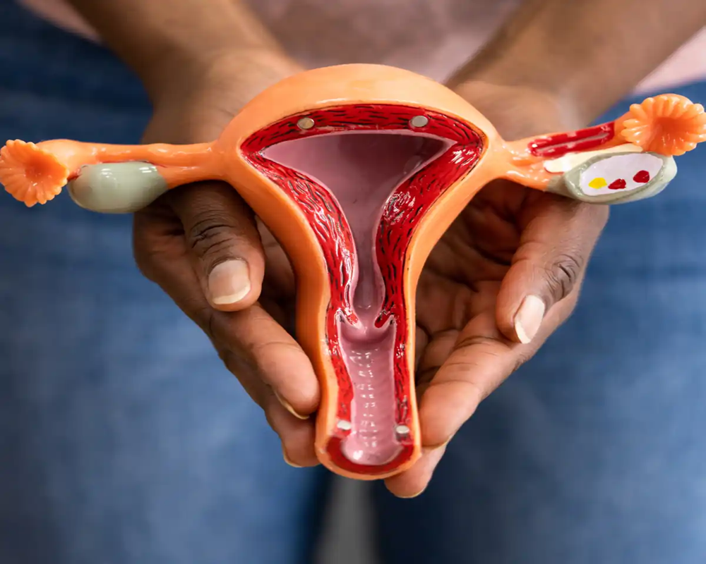 Top Gynecologist in South Kolkata, Infertility Treatment Specialist and Gynecologist in Kolkata